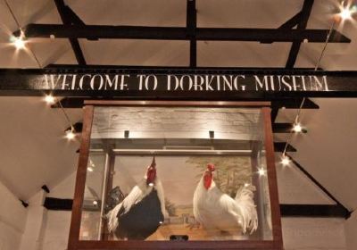 Dorking Museum and Heritage Centre