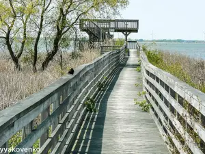 Rondeau Provincial Park