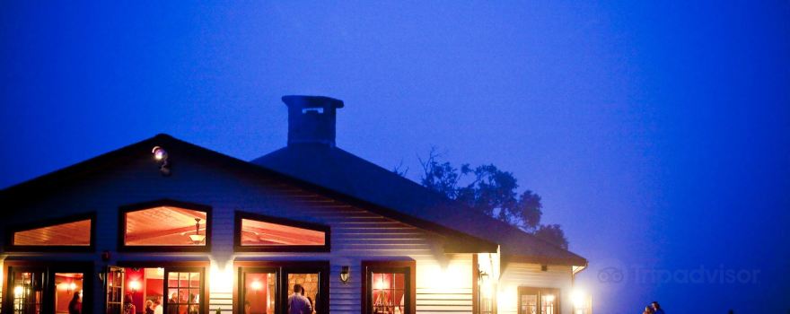 Honora Vineyard