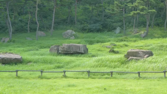 Gochang Dolmen Site