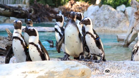 Zoo of Pistoia