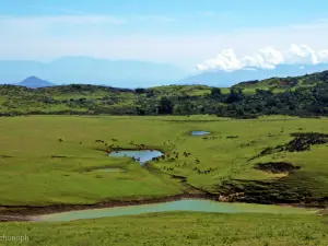 Fulan Fehan Savanna