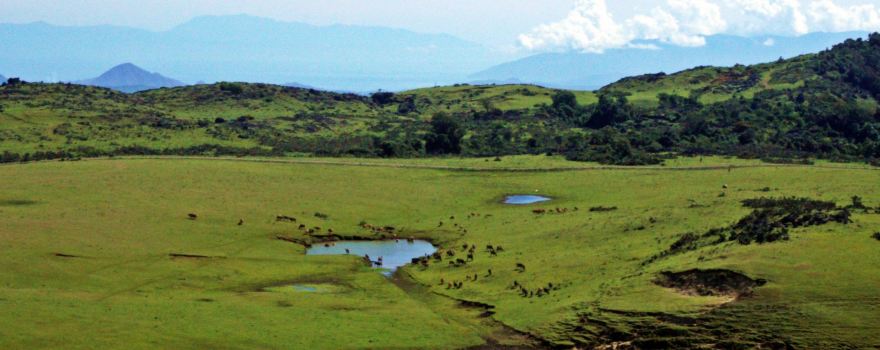 Fulan Fehan Valley