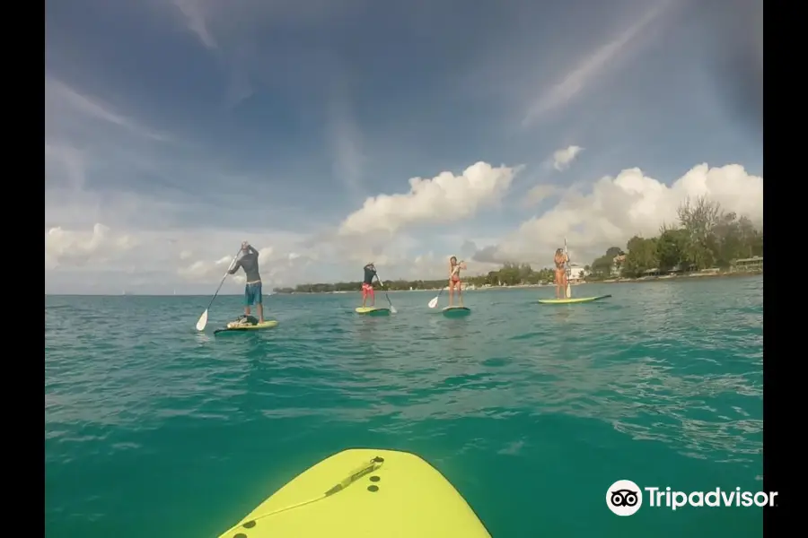 Paradise Surf School