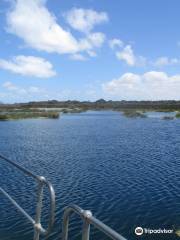 Piccaninnie Ponds Conservation Park