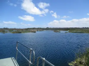 Piccaninnie Ponds Conservation Park