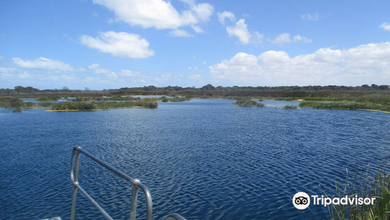 Piccaninnie Ponds Conservation Park