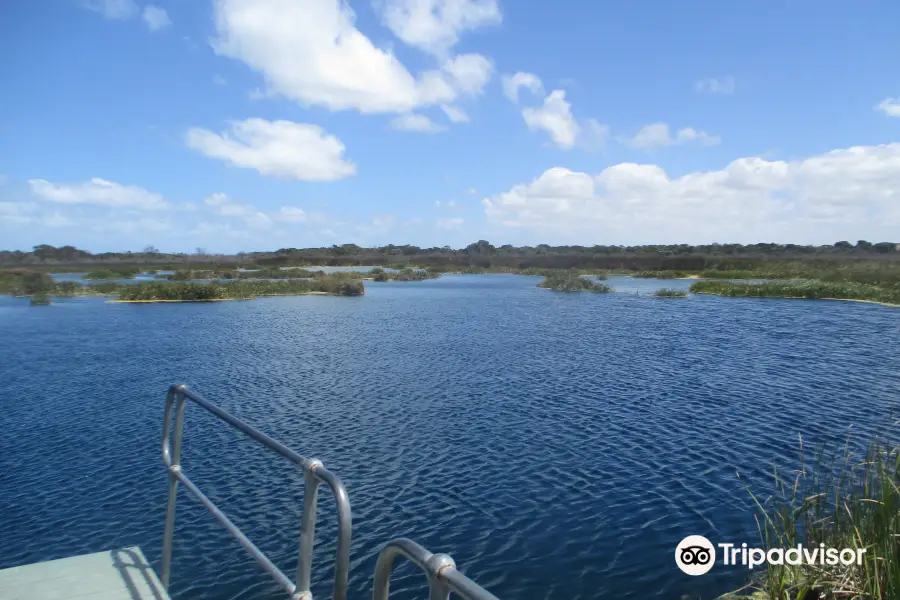 Piccaninnie Ponds Conservation Park