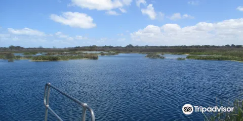 Piccaninnie Ponds Conservation Park