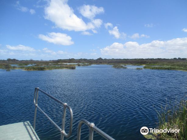 Piccaninnie Ponds Conservation Park