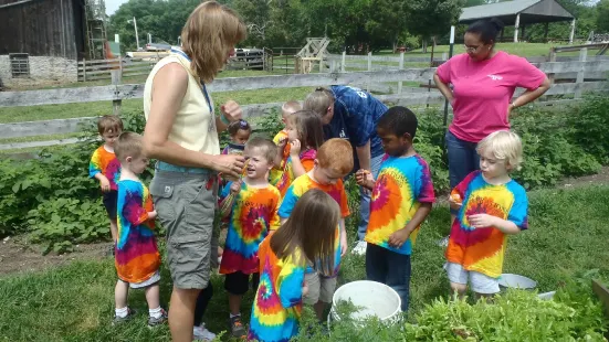 Learning Tree Farm