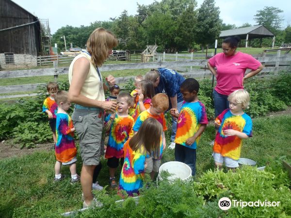Learning Tree Farm
