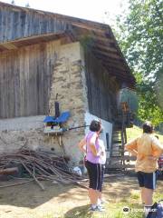 Azienda Agricola La Capra Felice