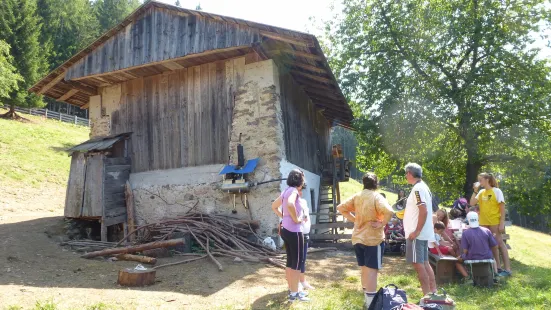 Azienda Agricola La Capra Felice