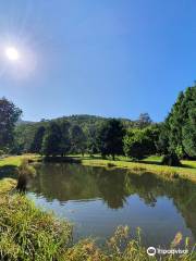 Mountain Fresh Trout & Salmon Farm