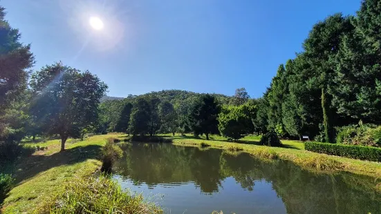 Mountain Fresh Trout & Salmon Farm