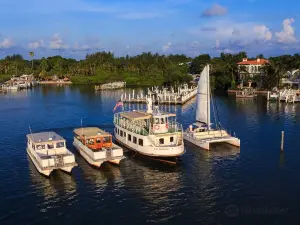 Captiva Cruises