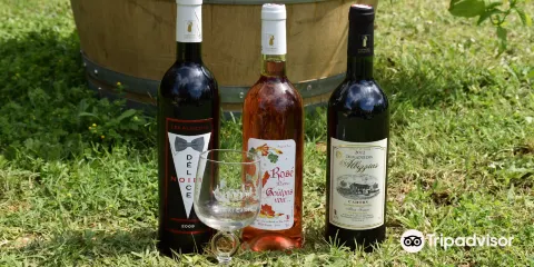 Domaine des Albizzias