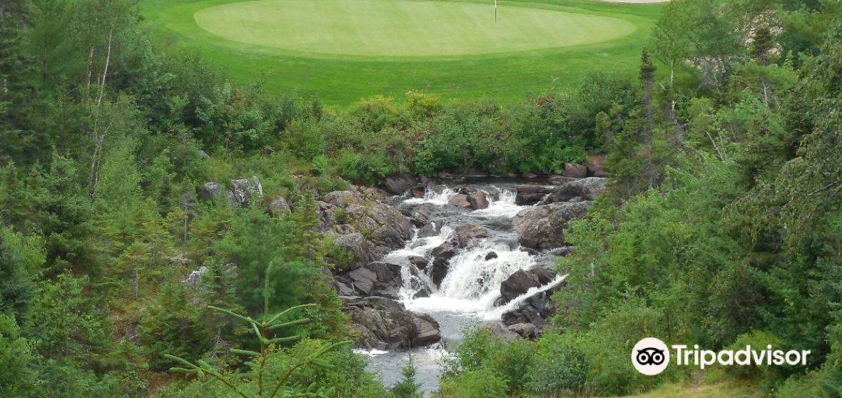 Things to Do in Port Blandford in 2024 Top Attractions, Local Food