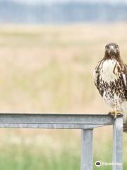 Camas National Wildlife Refuge