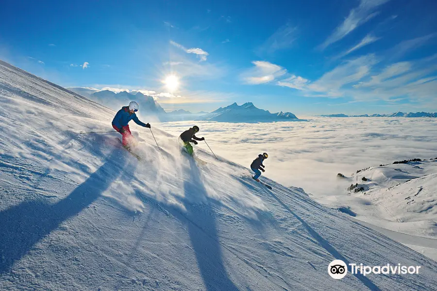 Bergbahnen Meiringen-Hasliberg