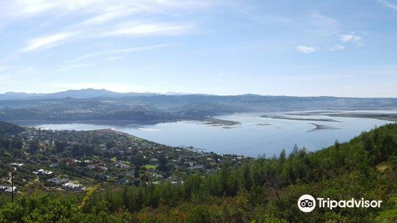 Margaret's Viewpoint