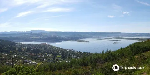Margaret's Viewpoint