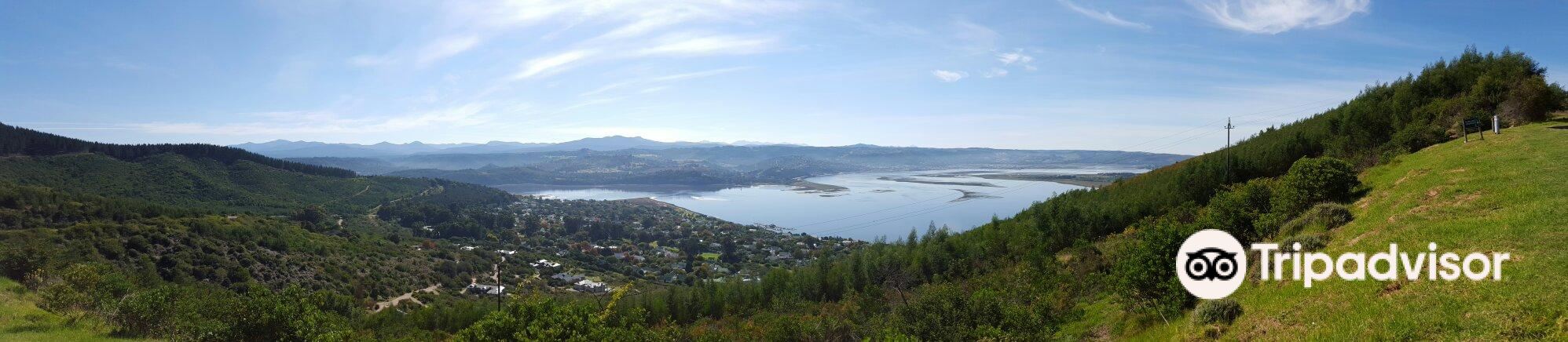 Margaret’s Viewpoint