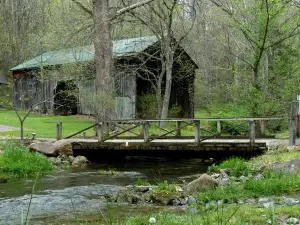 Abingdon Vineyards