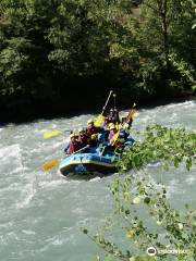 Raft in Action