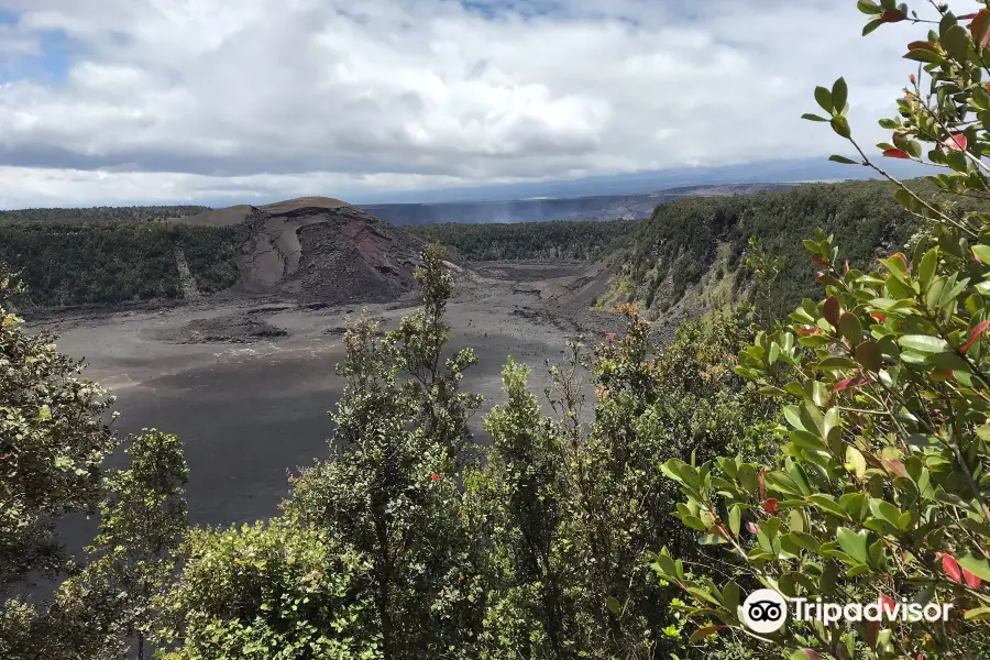 Hawai'i Volcanoes National Park Kahuku Unit