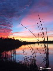 Mittry Lake Wildlife Area