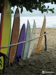 Totem Surf Rent & School