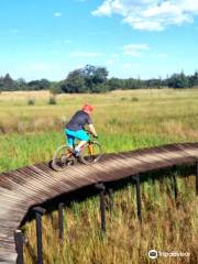 Rosemary Hill Mountain Bike Trails