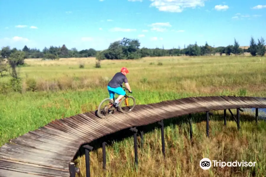 Rosemary Hill Mountain Bike Trails