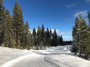 100 Mile Nordic Ski Society