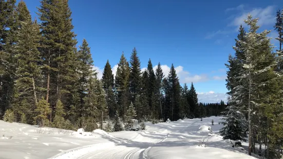 100 Mile Nordic Ski Society