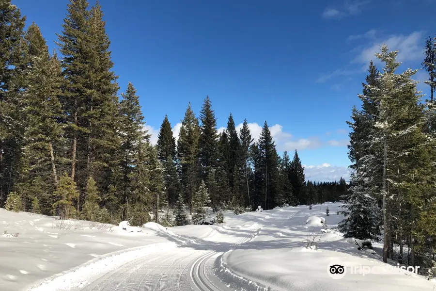 100 Mile Nordic Ski Society