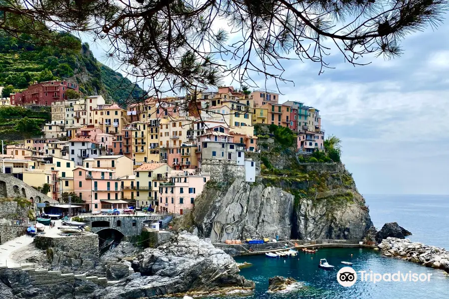 Cinque Terre Walk and Drink