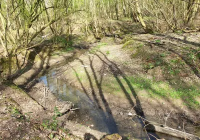 Thornaby-on-Tees
