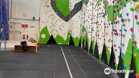 Golden Gecko Climbing Ltd