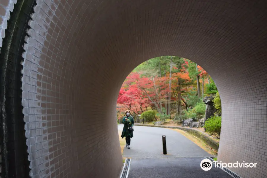 弥彦公園