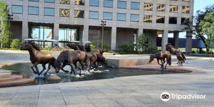 Mustangs of Las Colinas