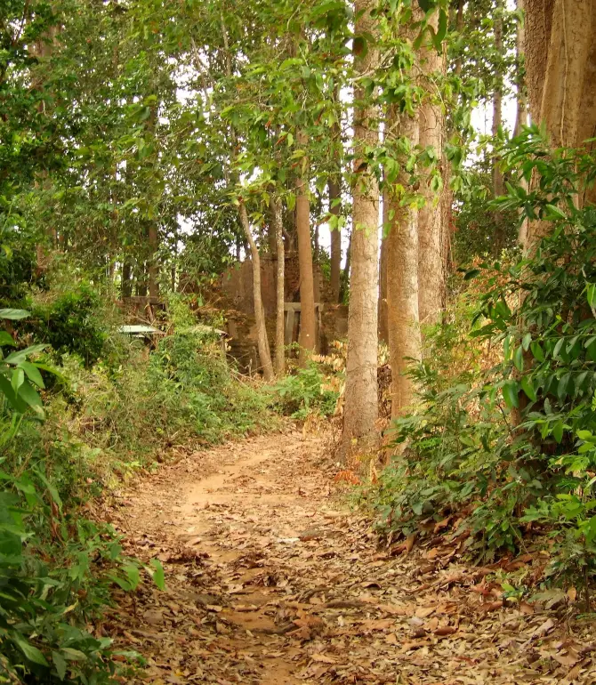 Sisophon