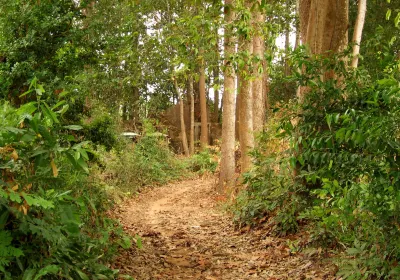 Banteay Meanchey