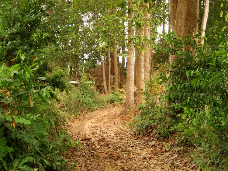 Sisophon