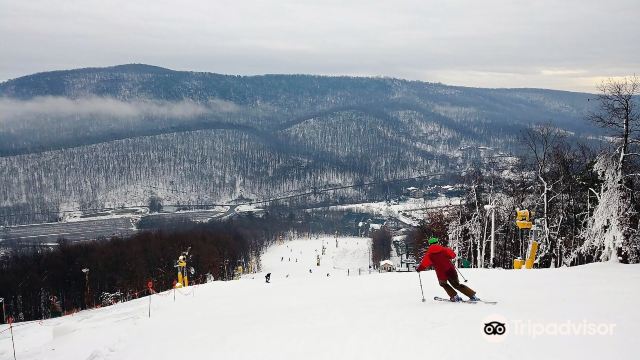 Whitetail Ski Resort, PA