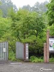 輕井澤植物園