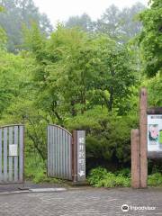 軽井沢町植物園