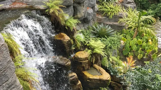 Gaylord Opryland Resort Gardens